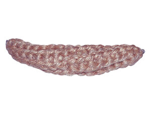 Kopleguaan Kokos Talamex