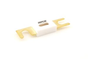 Ripca ANL zekering 250A