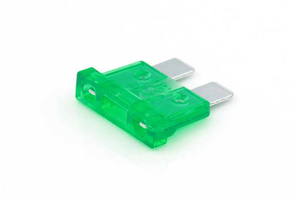 Steekzekering standaard 30A